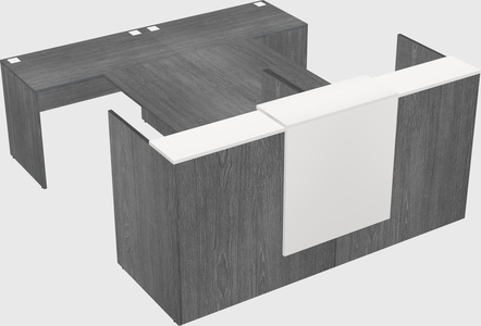 Shared u-shaped reception desks