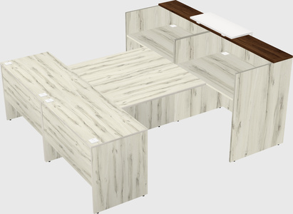 Shared u-shaped reception desks