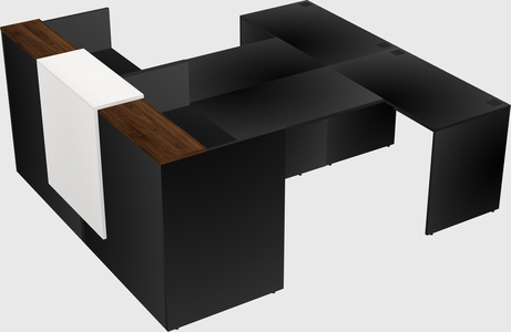 Shared u-shaped reception desks