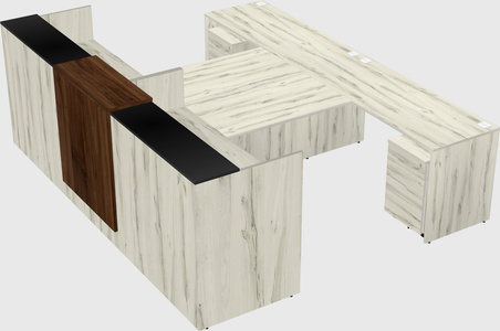 Shared u-shaped reception desks