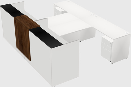 Shared u-shaped reception desks