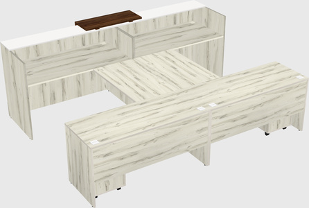 Shared u-shaped reception desks