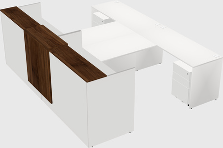 Shared u-shaped reception desks