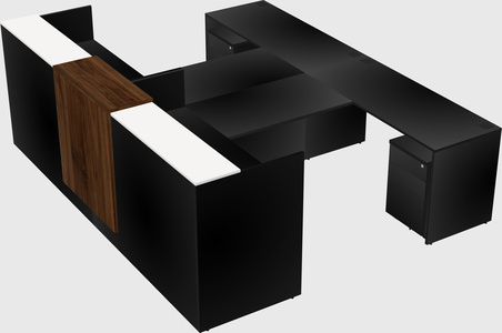 Shared u-shaped reception desks