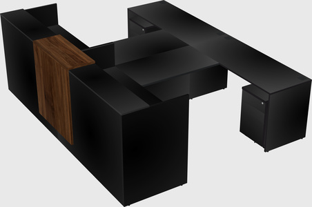 Shared u-shaped reception desks