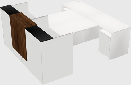 Shared u-shaped reception desks