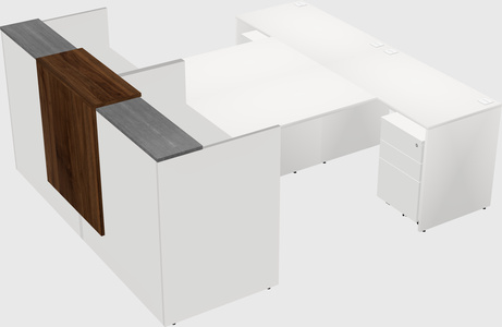 Shared u-shaped reception desks