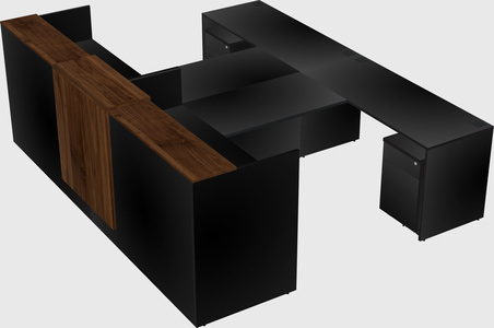 Shared u-shaped reception desks