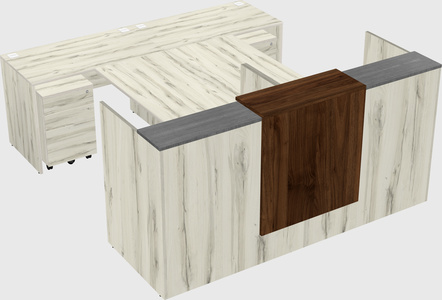 Shared u-shaped reception desks