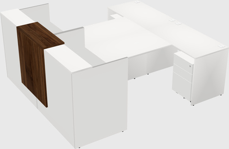 Shared u-shaped reception desks