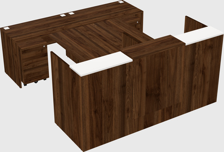 Shared u-shaped reception desks