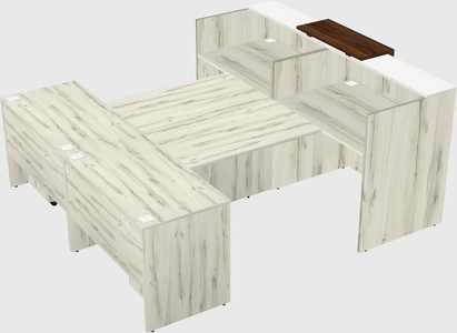 Shared u-shaped reception desks