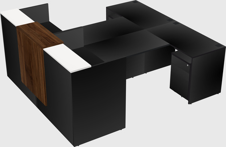 Shared u-shaped reception desks