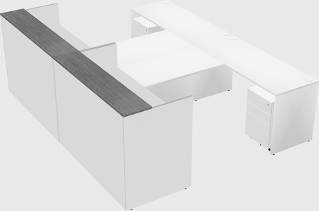 Shared u-shaped reception desks
