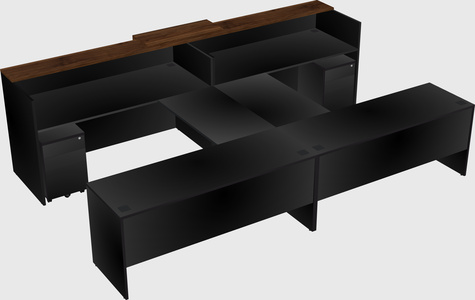 Shared u-shaped reception desks