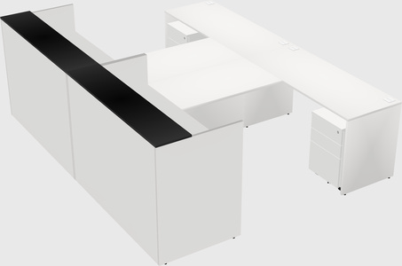 Shared u-shaped reception desks
