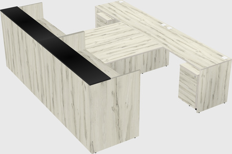 Shared u-shaped reception desks