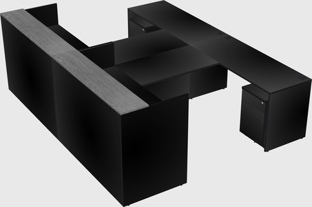 Shared u-shaped reception desks