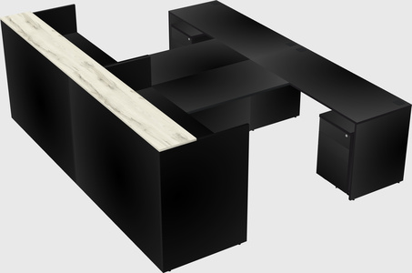 Shared u-shaped reception desks