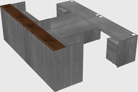 Shared u-shaped reception desks