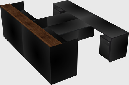 Shared u-shaped reception desks