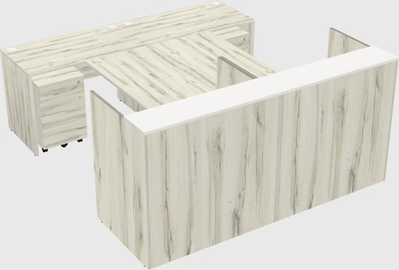 Shared u-shaped reception desks