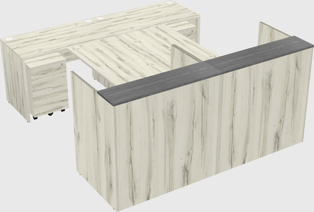 Shared u-shaped reception desks