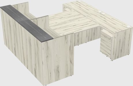 Shared u-shaped reception desks
