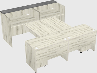 Shared u-shaped reception desks