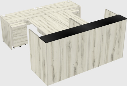 Shared u-shaped reception desks