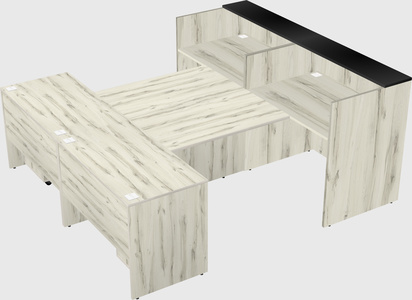 Shared u-shaped reception desks