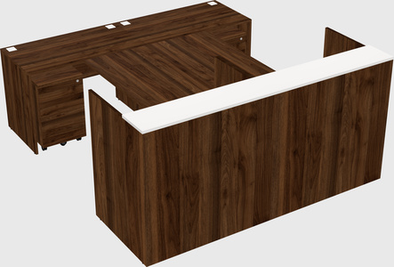 Shared u-shaped reception desks