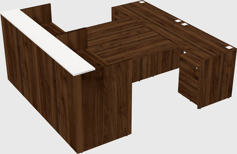 Shared u-shaped reception desks
