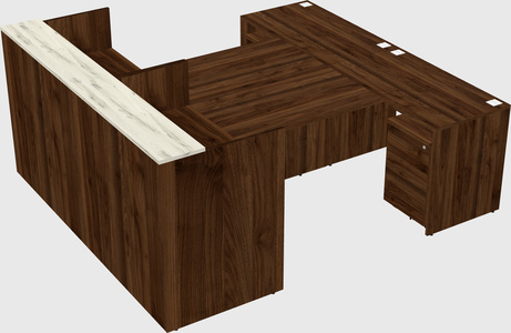 Shared u-shaped reception desks