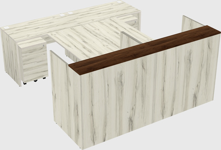 Shared u-shaped reception desks