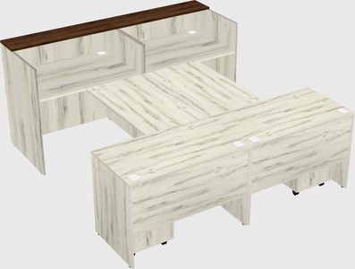 Shared u-shaped reception desks