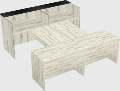 Shared u-shaped reception desks