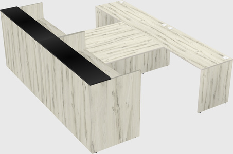 Shared u-shaped reception desks