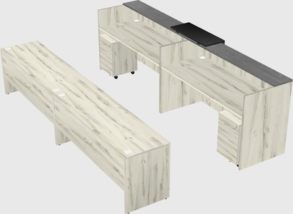Shared u-shaped reception desks