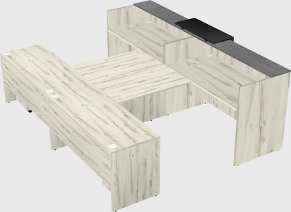 Shared u-shaped reception desks