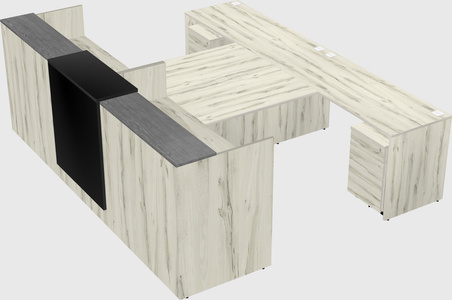 Shared u-shaped reception desks