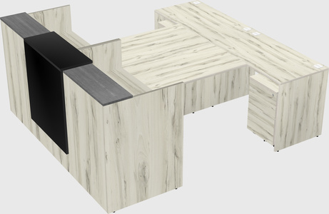 Shared u-shaped reception desks