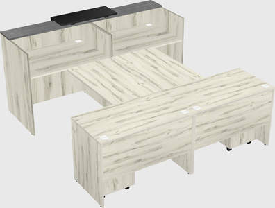 Shared u-shaped reception desks