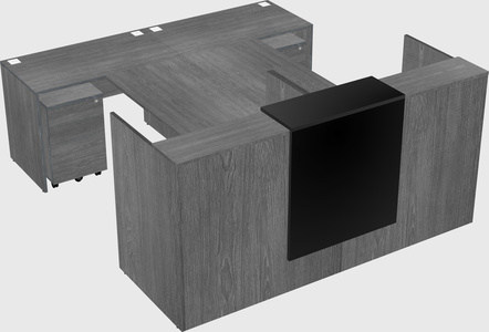 Shared u-shaped reception desks
