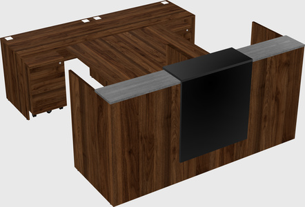 Shared u-shaped reception desks