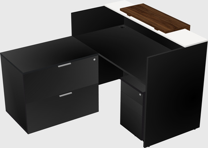 L-shaped modular reception