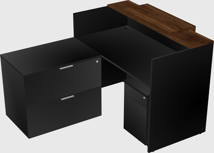 L-shaped modular reception