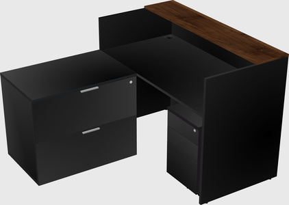 L-shaped modular reception