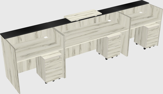 Modern long reception desk