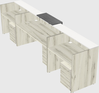 Modern long reception desk